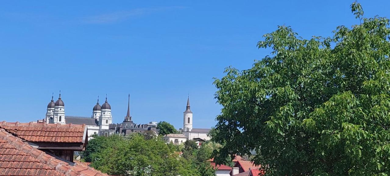 Central Palace Iasi Apart 2 Luaran gambar